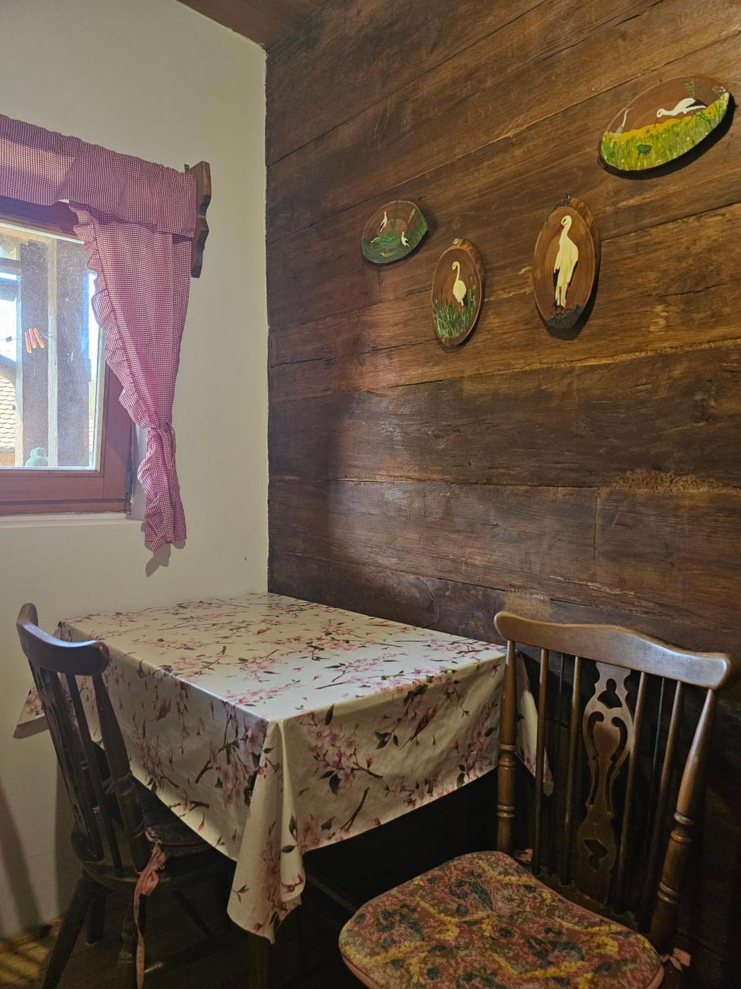 Kuvarna Apartment Čigoč